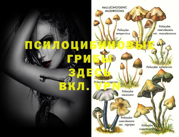 трава Лагань