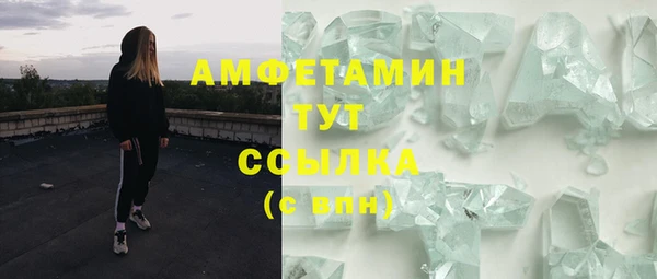 ПСИЛОЦИБИНОВЫЕ ГРИБЫ Лабытнанги