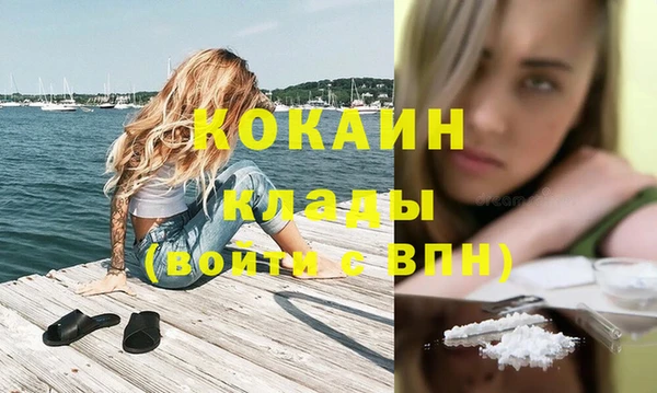 гидра Лиски