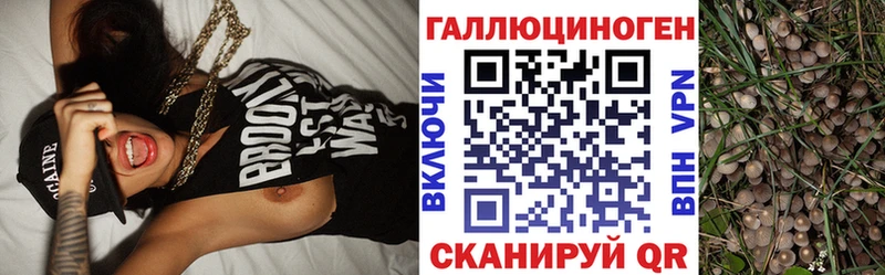 Галлюциногенные грибы Cubensis Чита