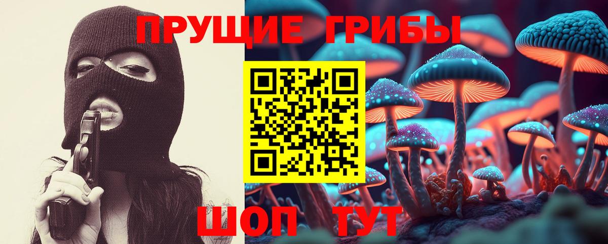 Псилоцибиновые грибы MAGIC MUSHROOMS Чита