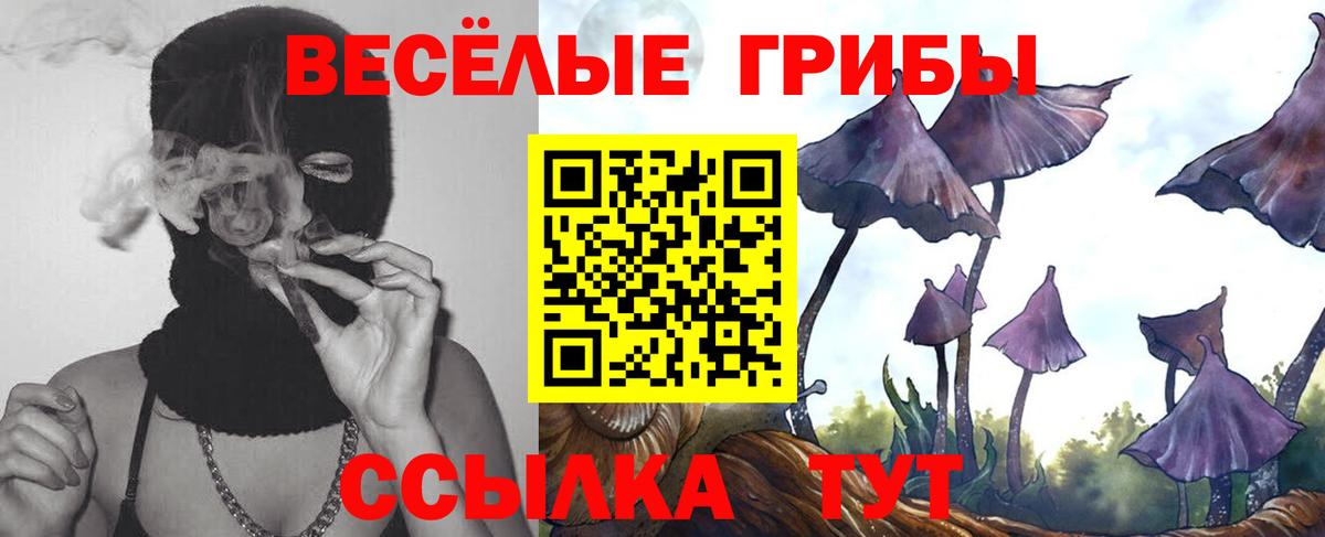 закладки  Галлюциногенные грибы мицелий  Вход с VPN  Чита 