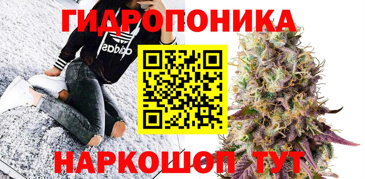 Канабис OG Kush Чита